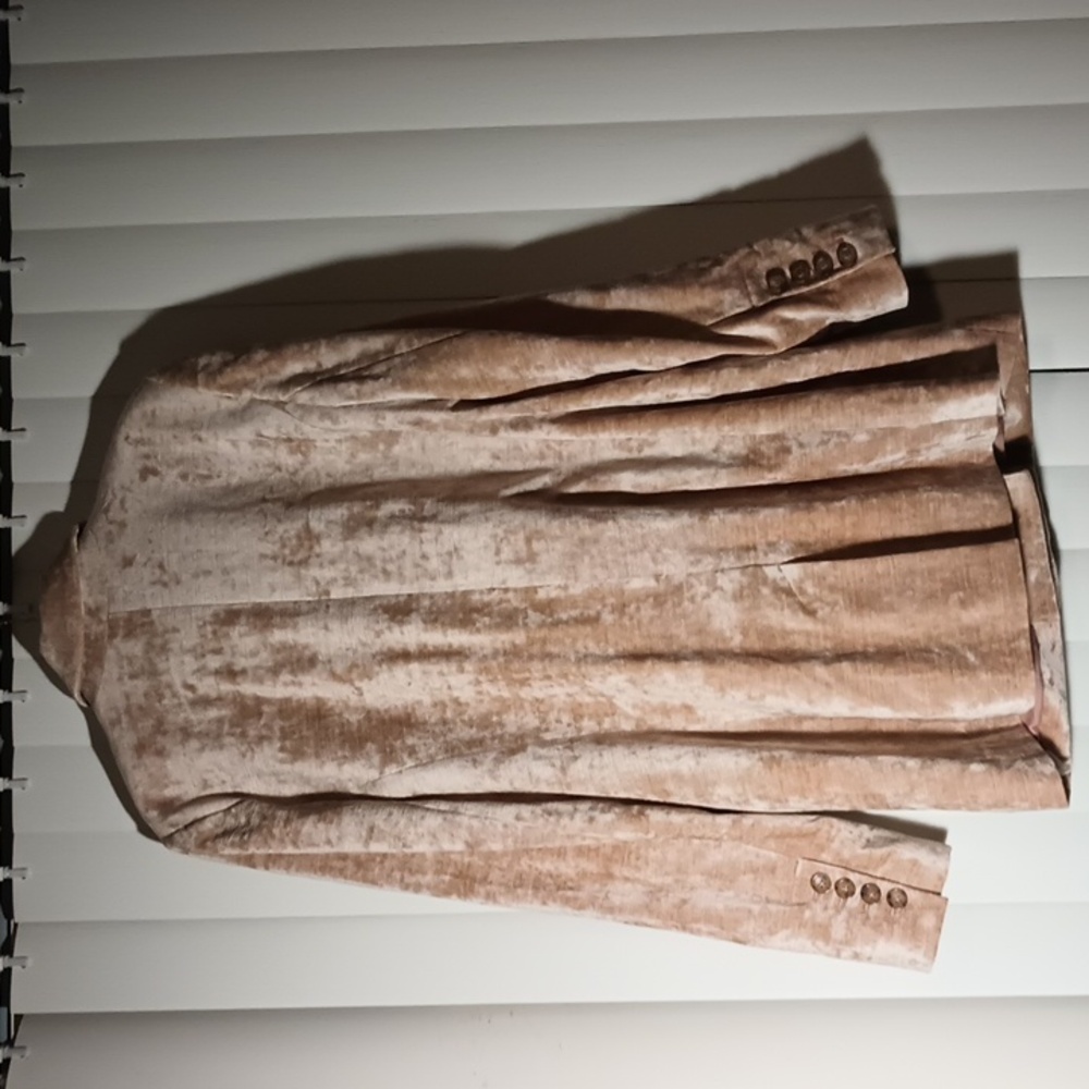 Free People Uptown Girl Velvet Blazer (Large) - Picture 6 of 11